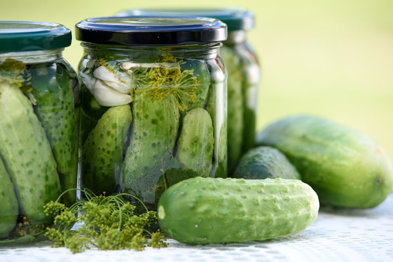 pickled cucumbers 1520638 1920